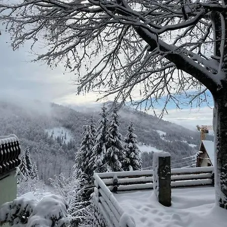 Planinska Kuca Savic, Сasa de vacaciones